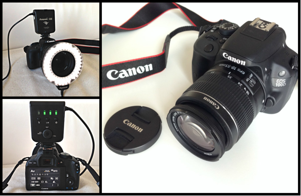 Canon EOS 100D + Lichtring