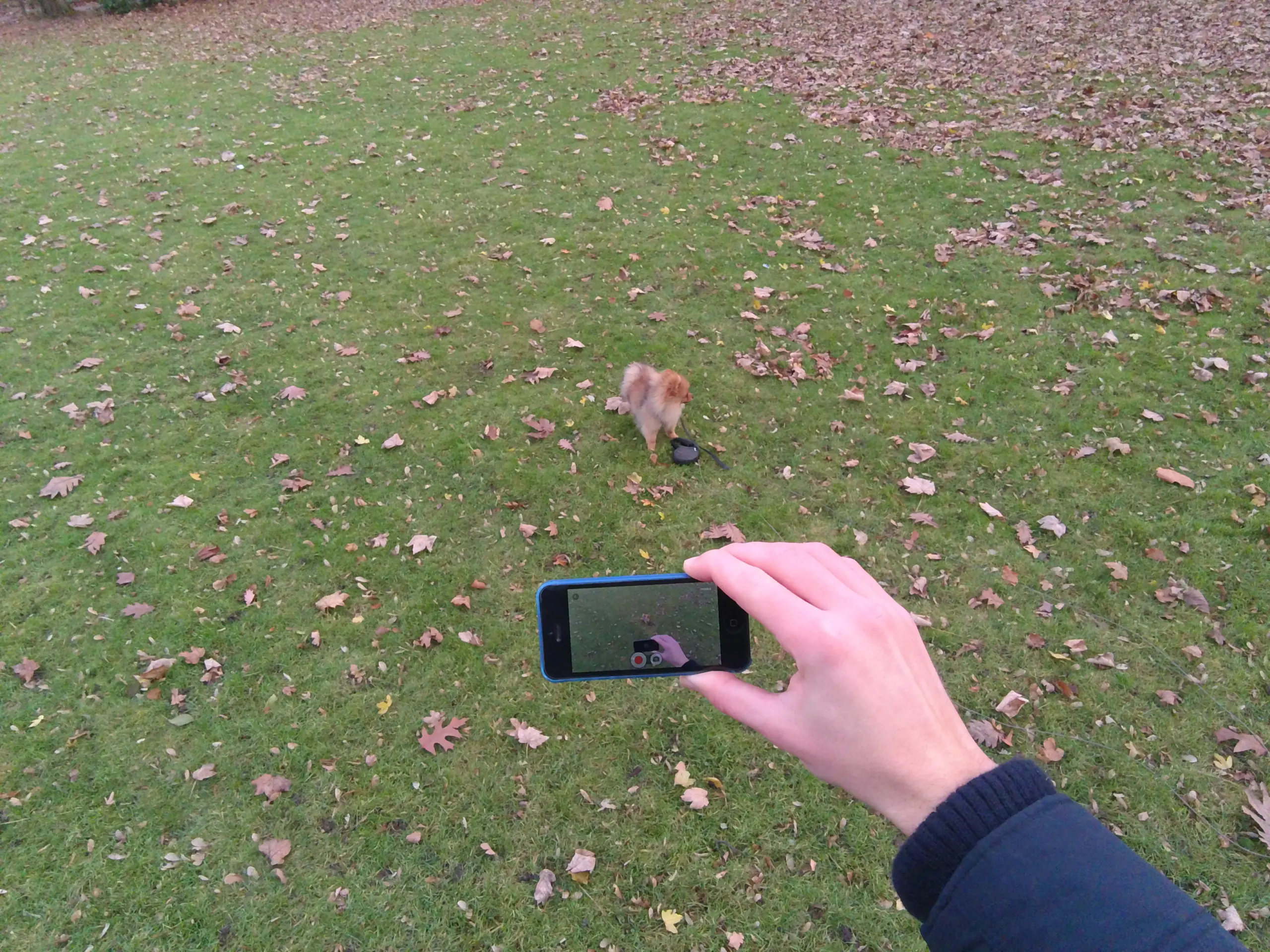 foream-x1-8mp-test-metropolitanmonkey.com