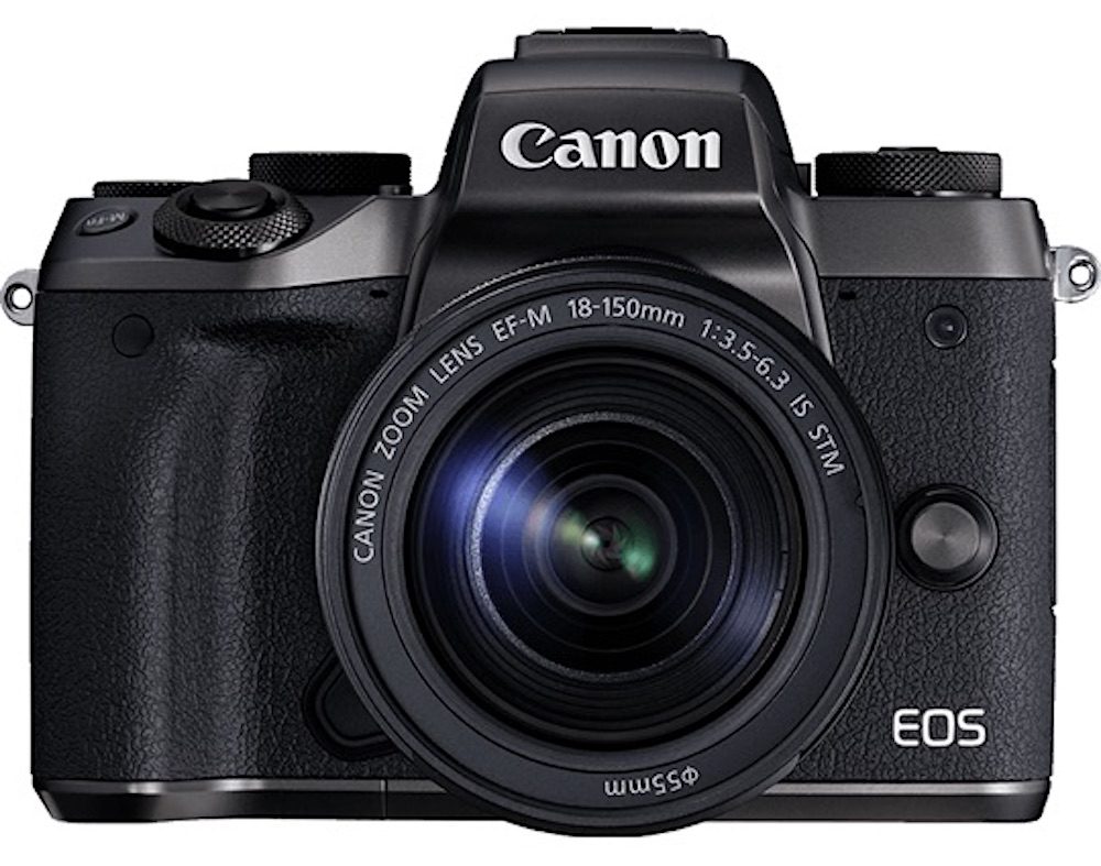 canon-eos-m5-metropolitan-monkey
