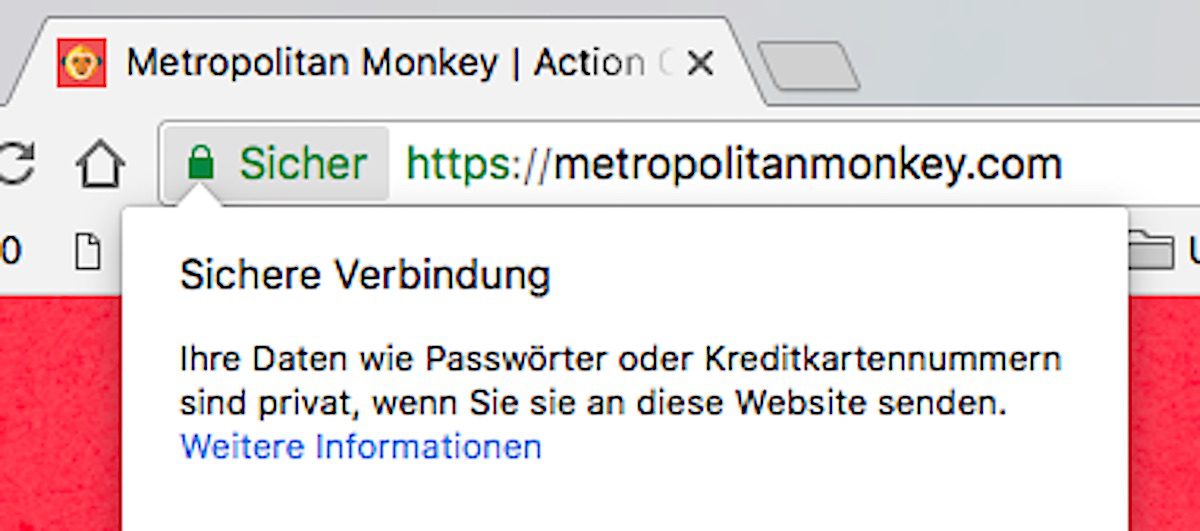 https ssl safe sicher metropolitan monkey google chrome
