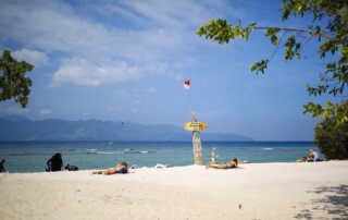 gili islands metropolitan monkey