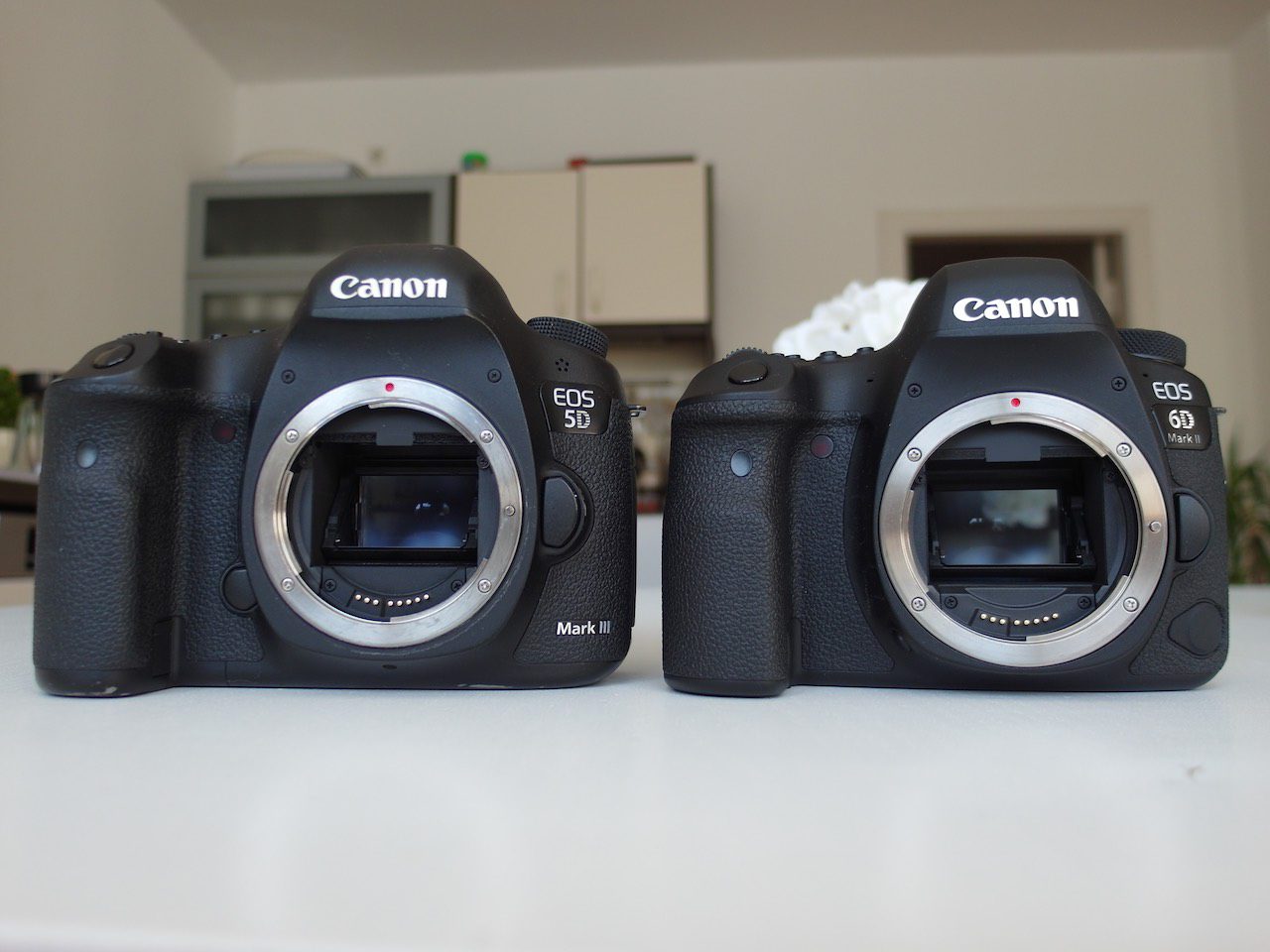 canon eos 5d mark iii vs canon eos 6d mark ii metropolitan monkey
